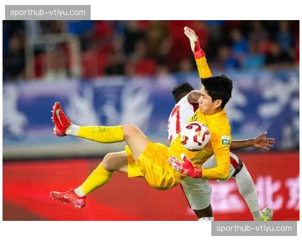 辽宁铁人租借热菲尼奥加强锋线 中卫瓦吉奇身价达250万欧